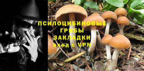 эйфоретик Алзамай