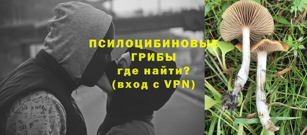 mdpv Алексин