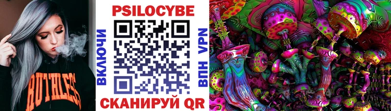 Галлюциногенные грибы Psilocybe как найти наркотики Слободской
