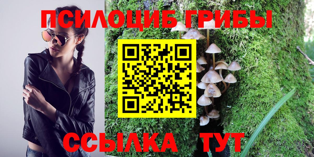 Галлюциногенные грибы Cubensis Слободской