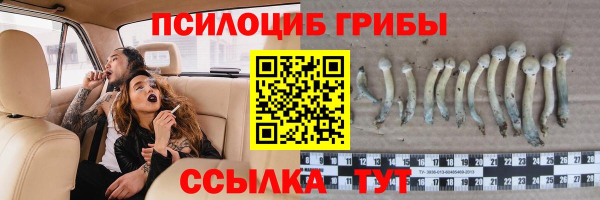 Слободской  Галлюциногенные грибы мицелий  Галлюциногенные грибы GOLDEN TEACHER  Вход с VPN 